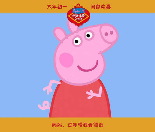 切斯特定制证件